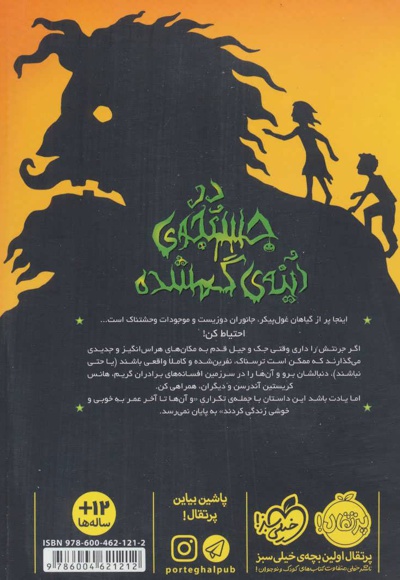 در جستجوی آینه ی گمشده